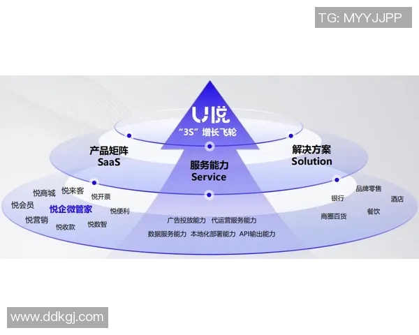 南京飞盘队的成功运营模式与发展策略深度解析