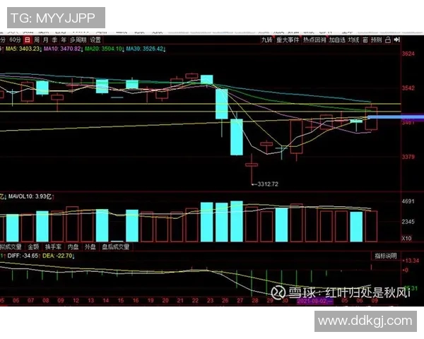重庆羽毛球队与成都羽毛球队赛后复盘分析比赛节奏与战术对比